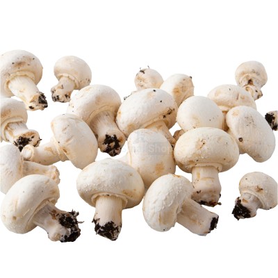 Шампиньоны свежие 500 г - купить в Орте-Стале